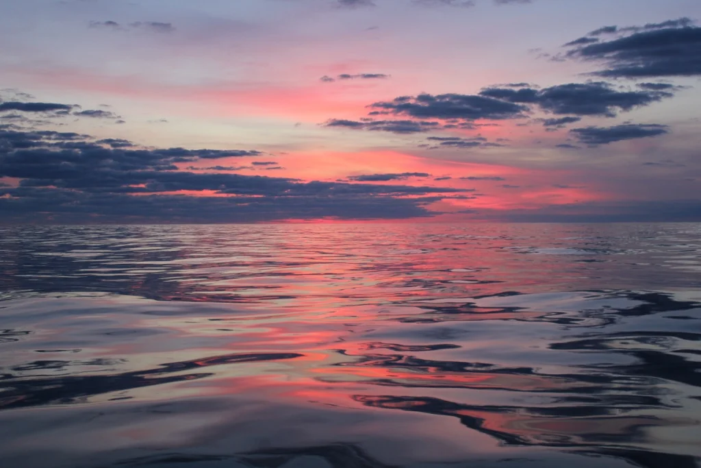 On our way to the USA