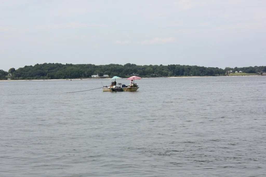 IMG_2646.JPG