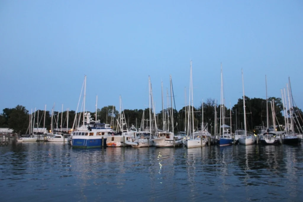 IMG_3543.JPG
