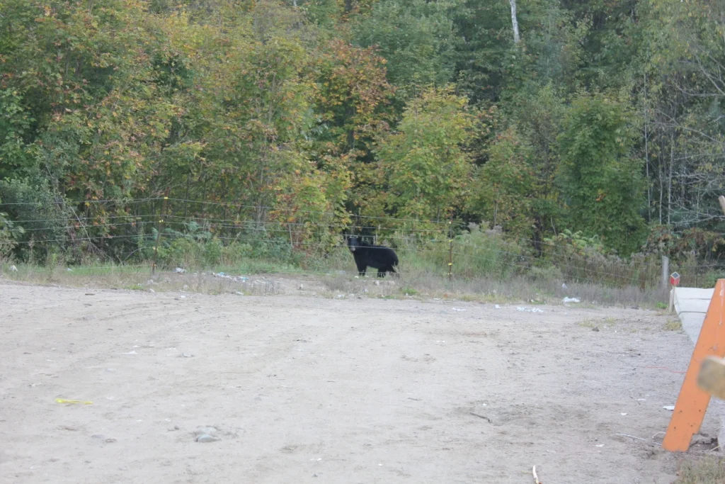 IMG_3644.JPG