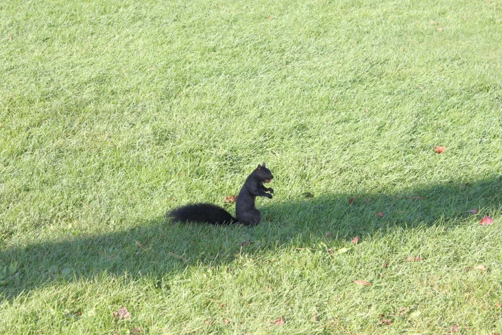IMG_3791.JPG
