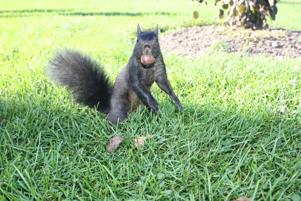 IMG_3795.JPG