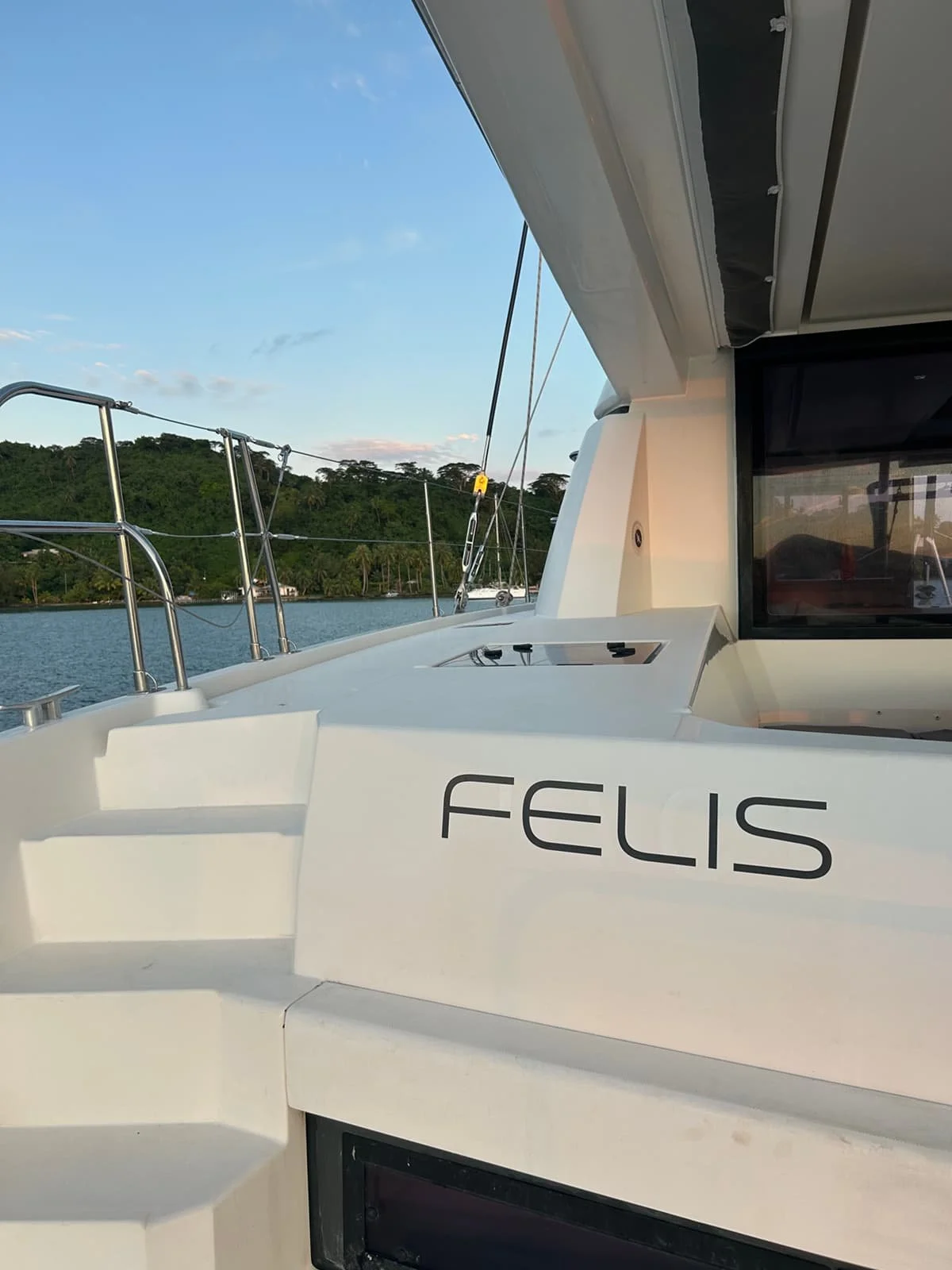 FELIS stern name 1200 x 1600.jpg