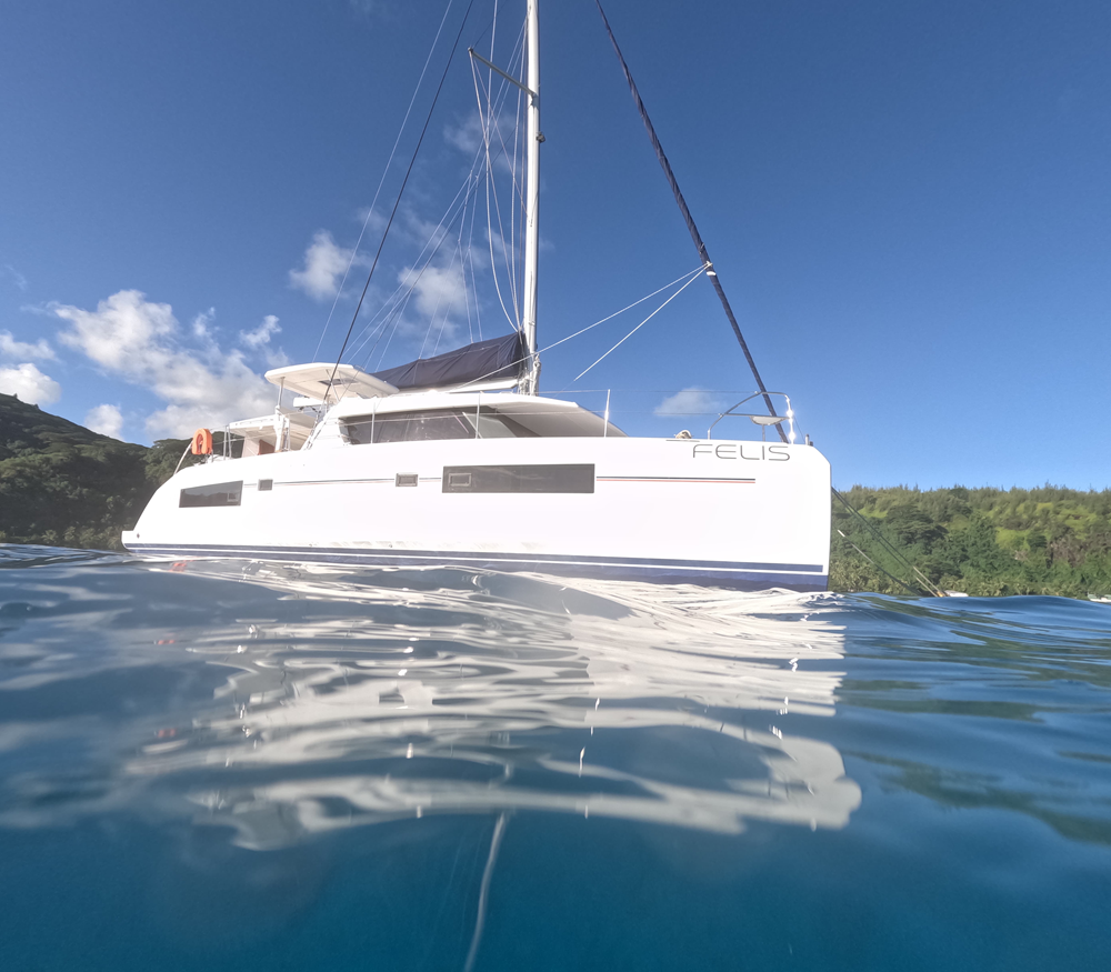 FELIS side at water level  - Squoosh - 1000 x 875.png