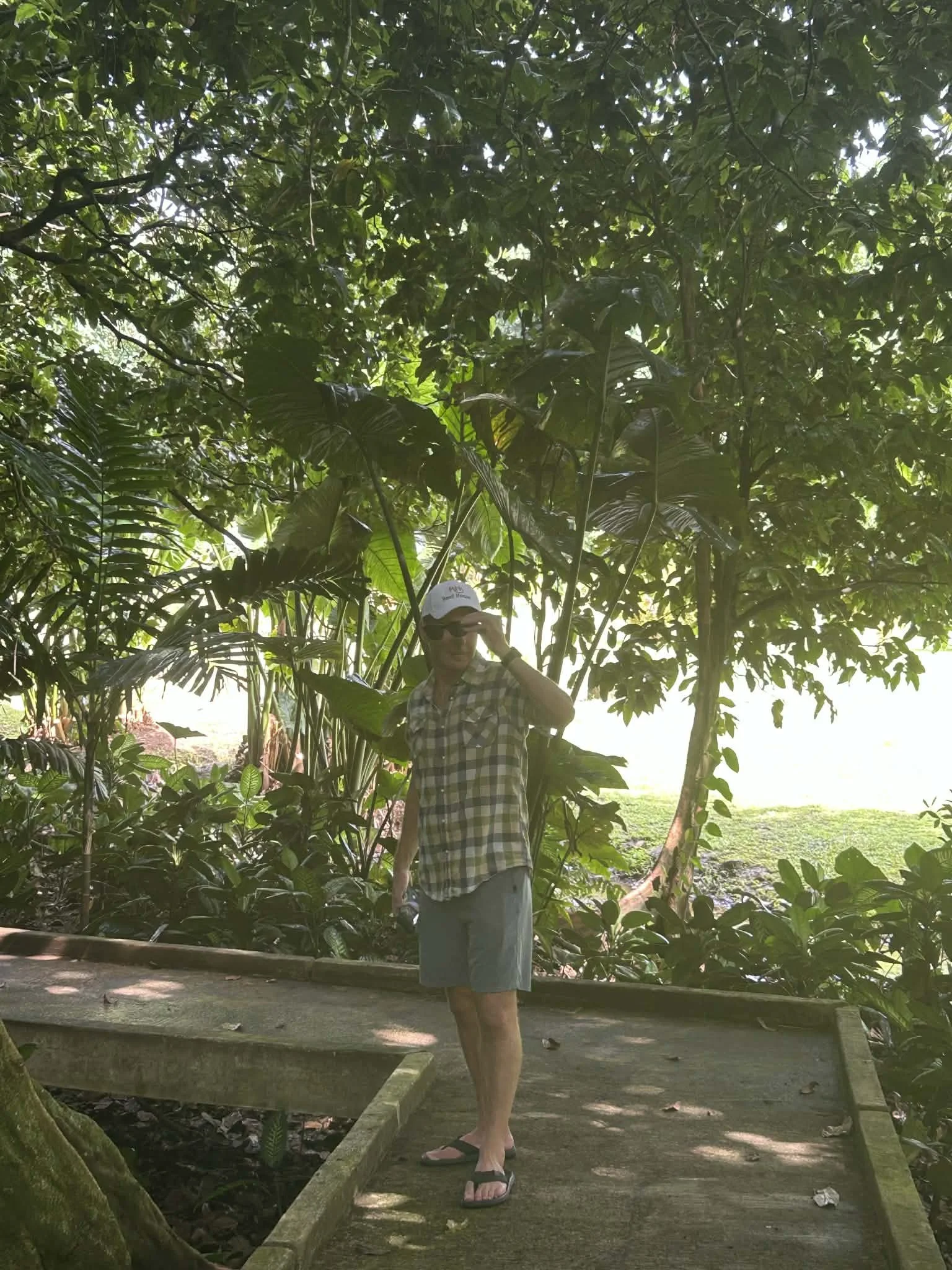 Raiatea drive 2 of x.jpeg