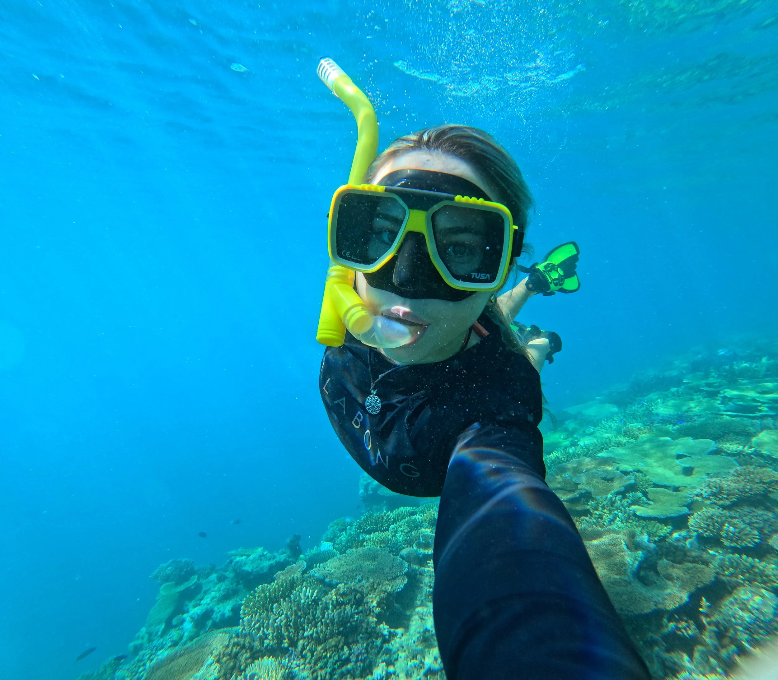 snorkle99 (1).jpg