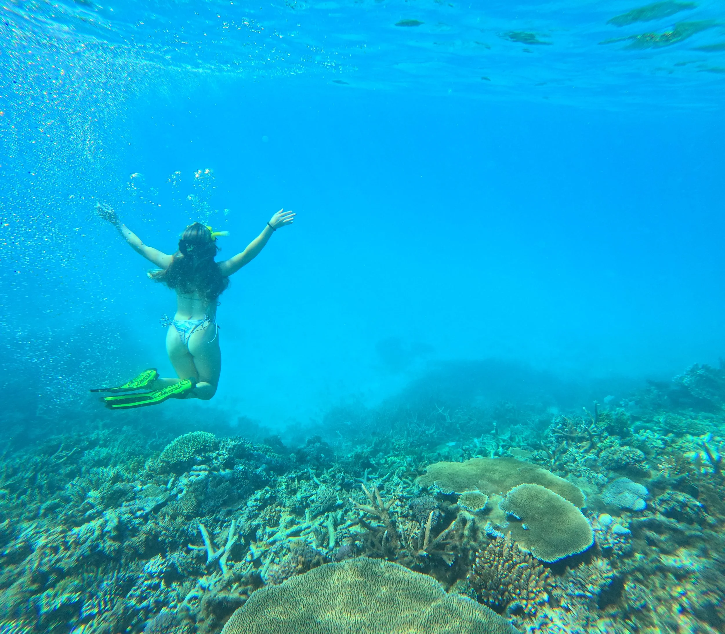 snorkle96 (1).jpg