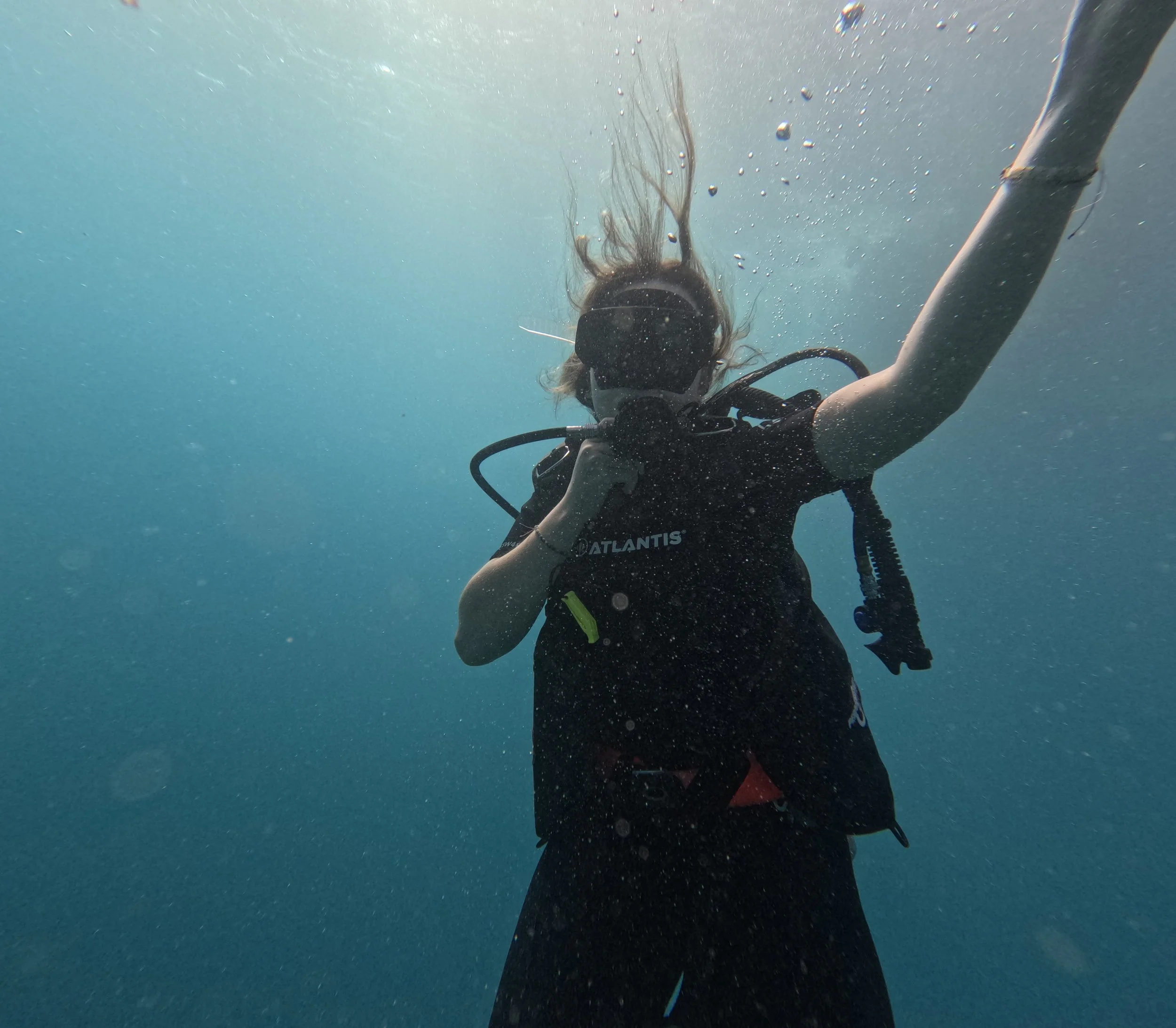 dive 7 (1).jpg