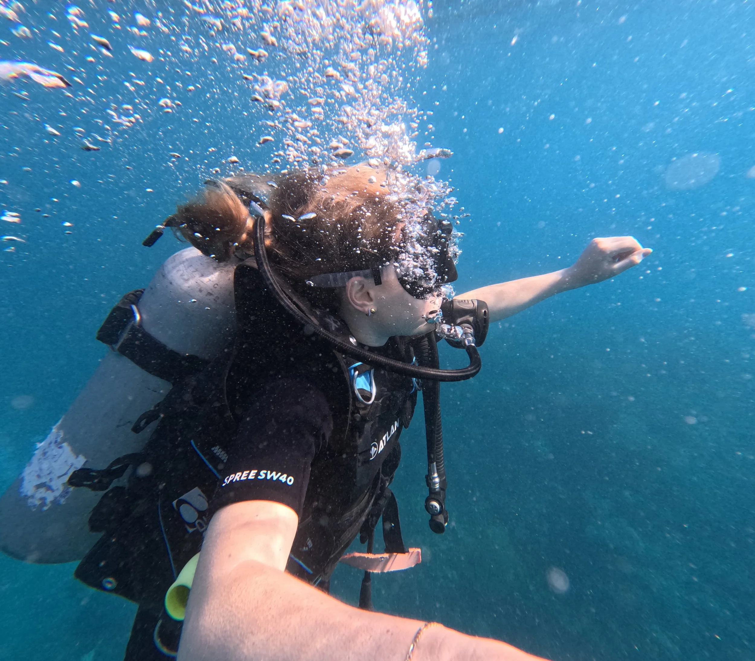 dive6 (1).jpg