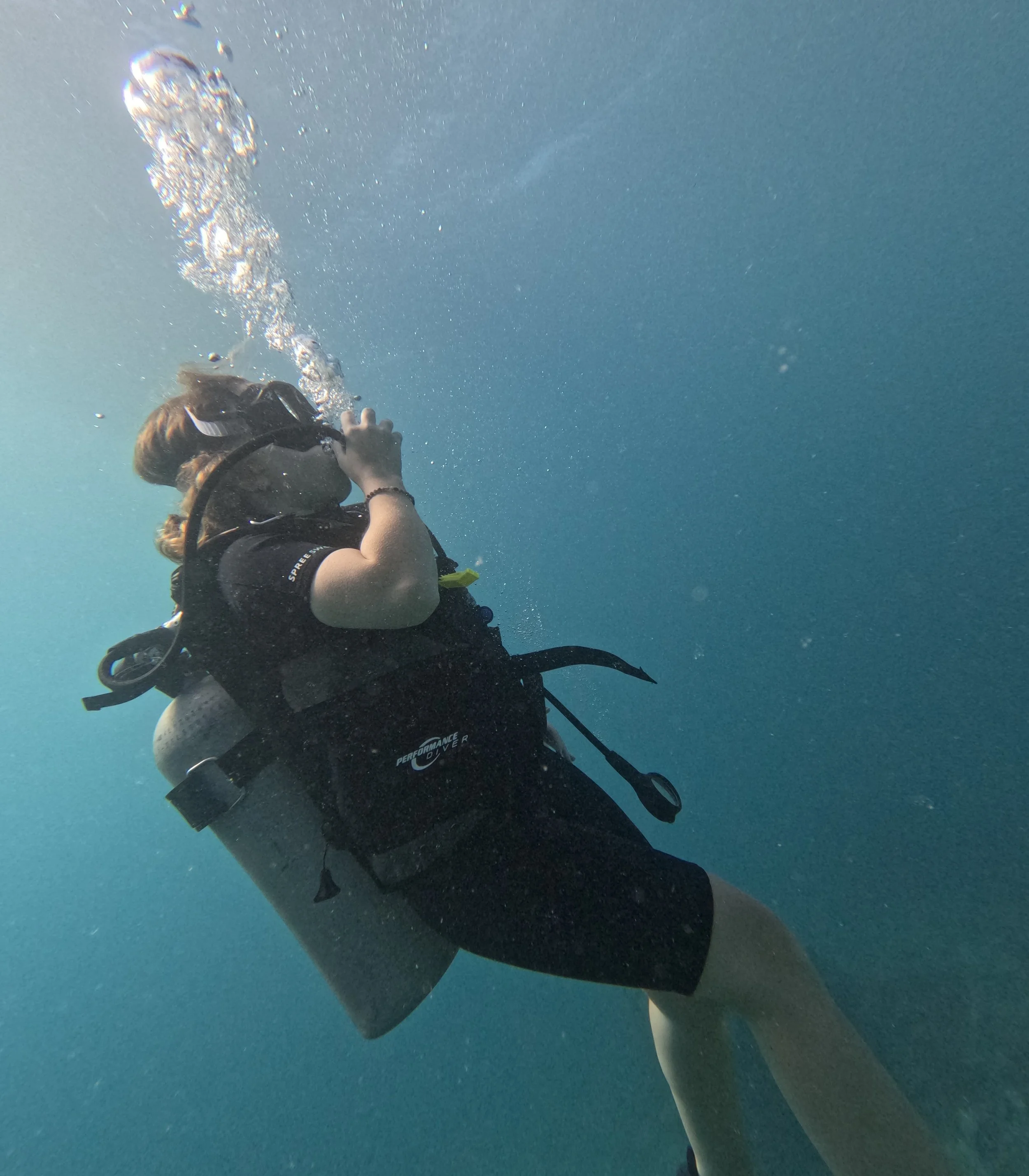 dive5 (1).jpg