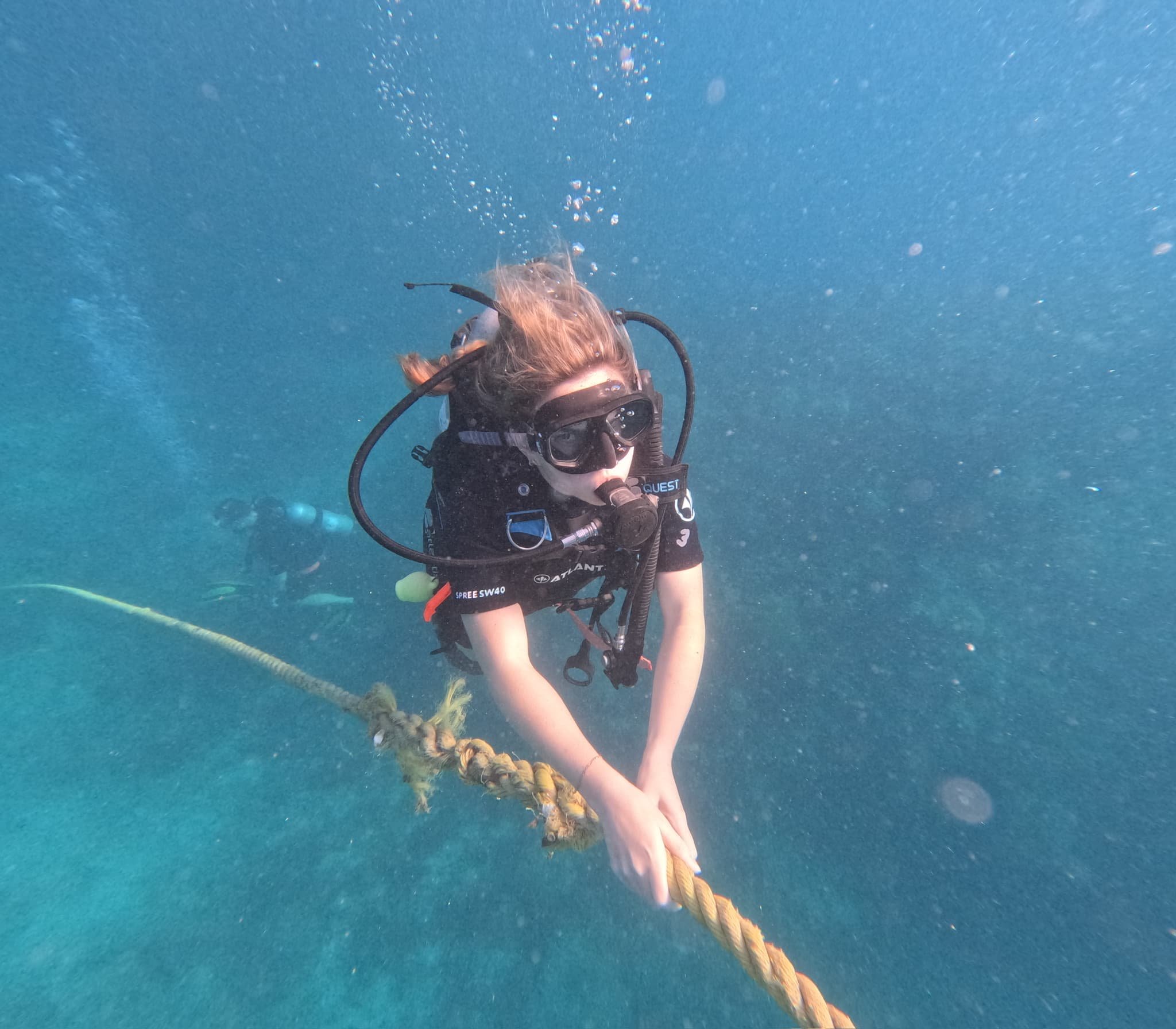 dive2.jpg