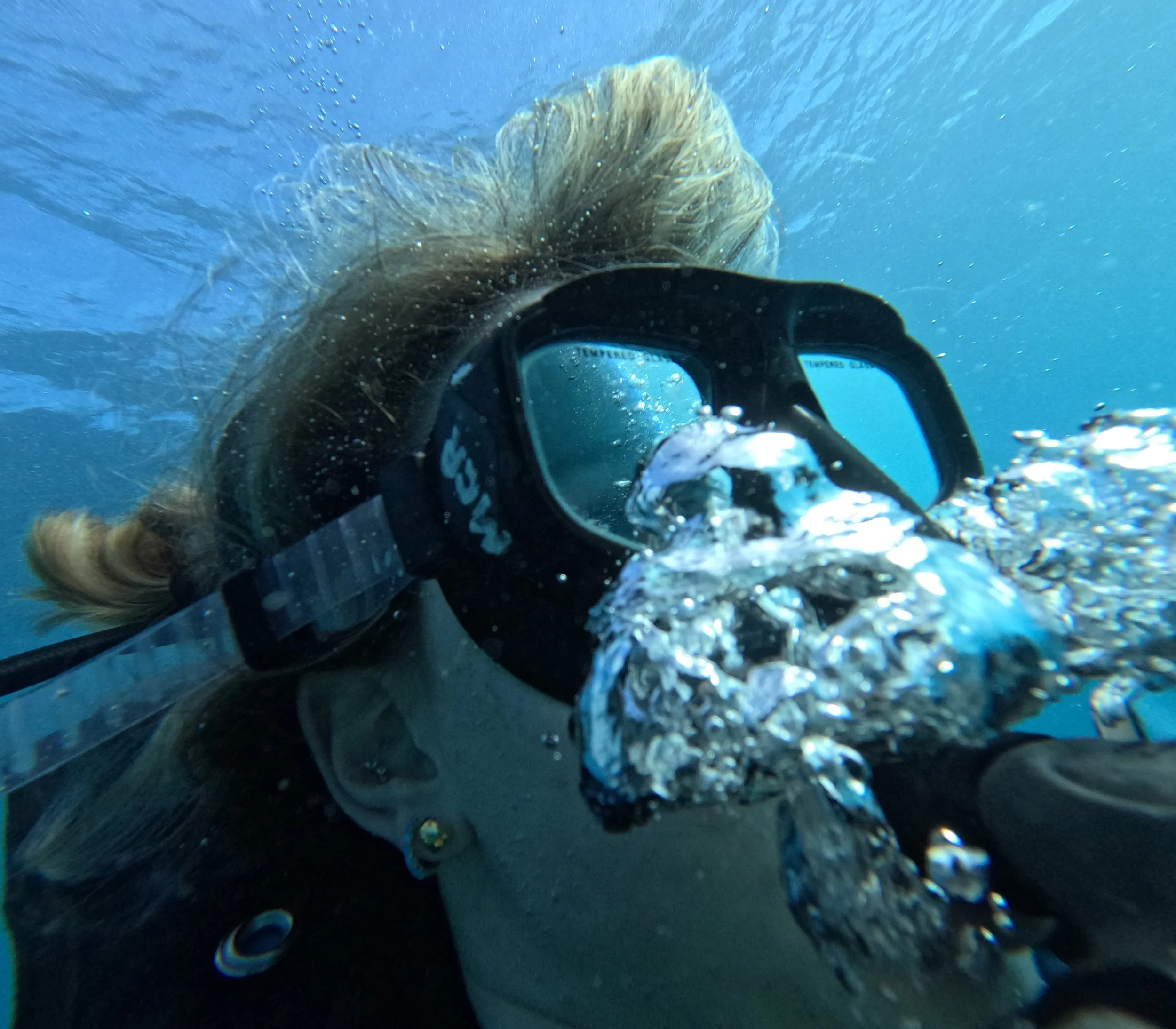 dive close up (1).jpg