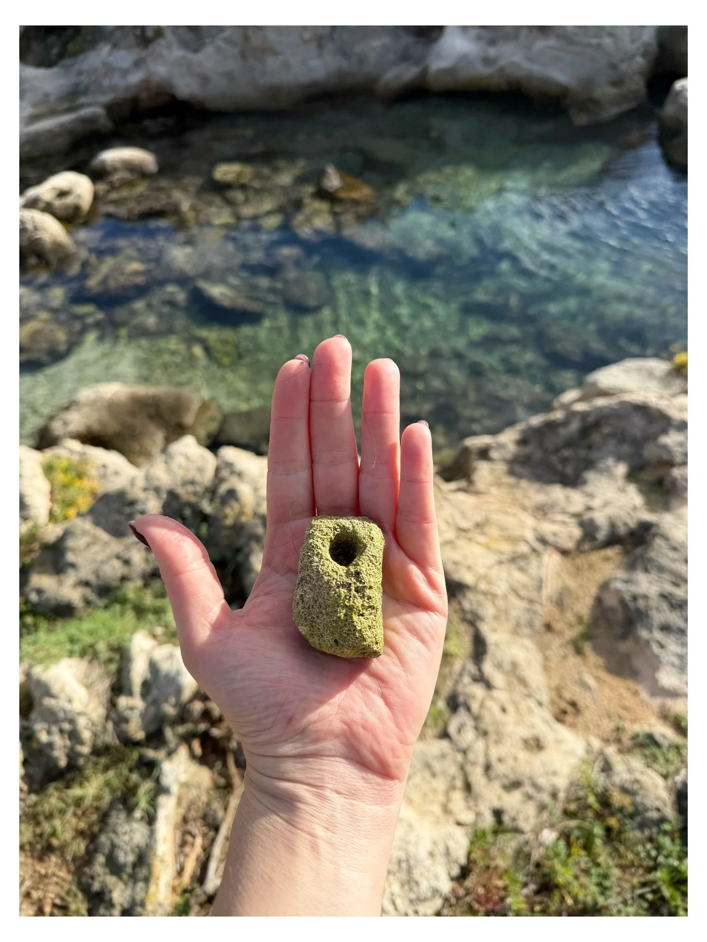 Normally I jump right in, even when the water is freezing. But today I let the sun warm my skin and waded in slowly. The water was crystal clear. The little stones beneath my feet gave way to larger rocks covered in sea plants and eelgrass, and then 