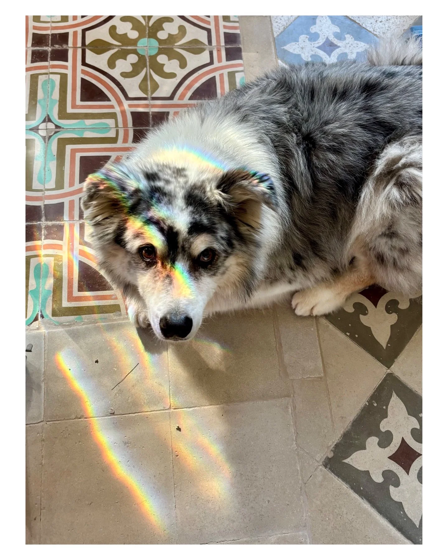 Still here, still a devotee of beauty and color, still down for an occasional bathroom selfie 💙🌈

#arthurgoodman #love #yes