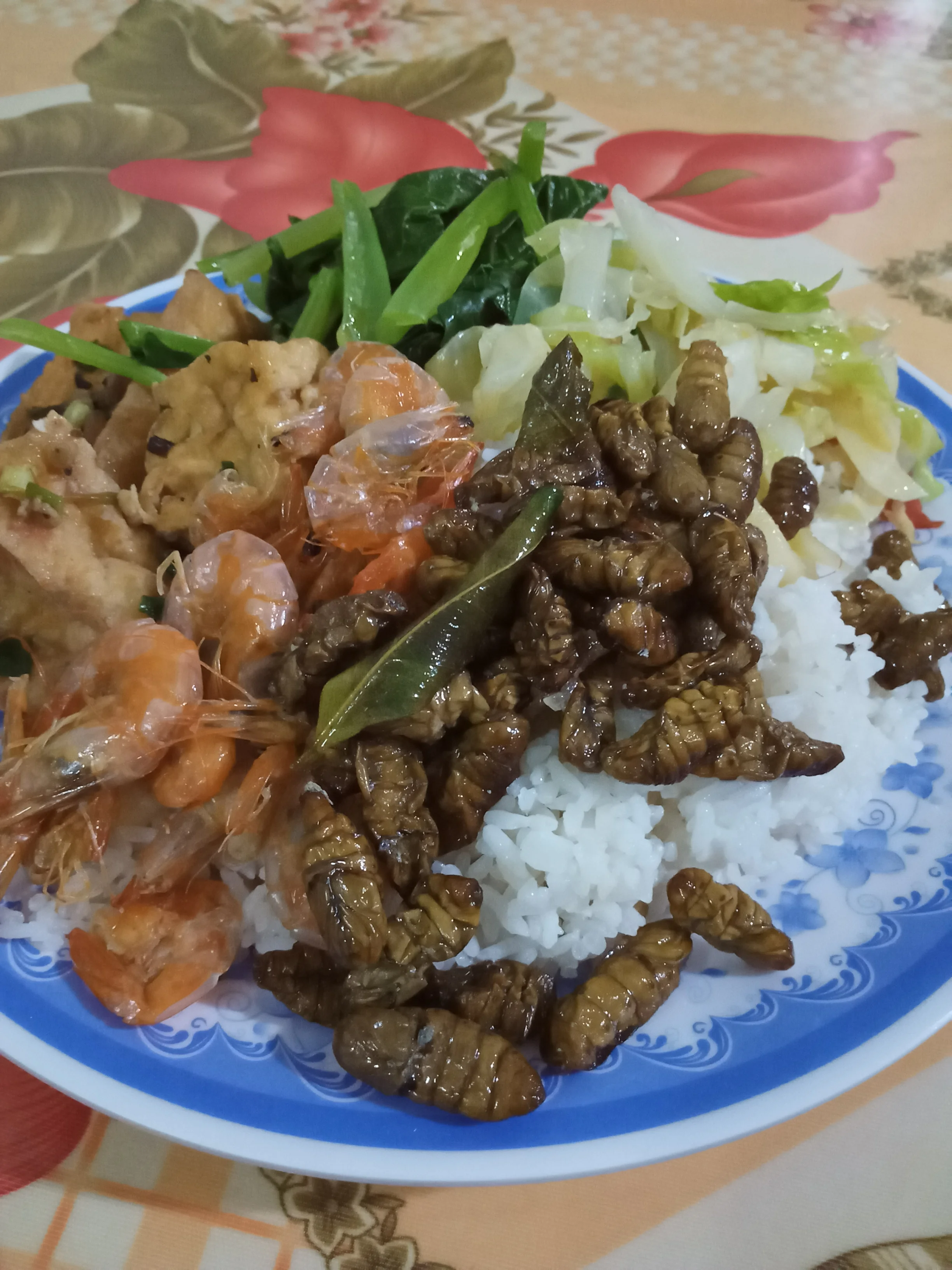 IMG20190926180644.jpg