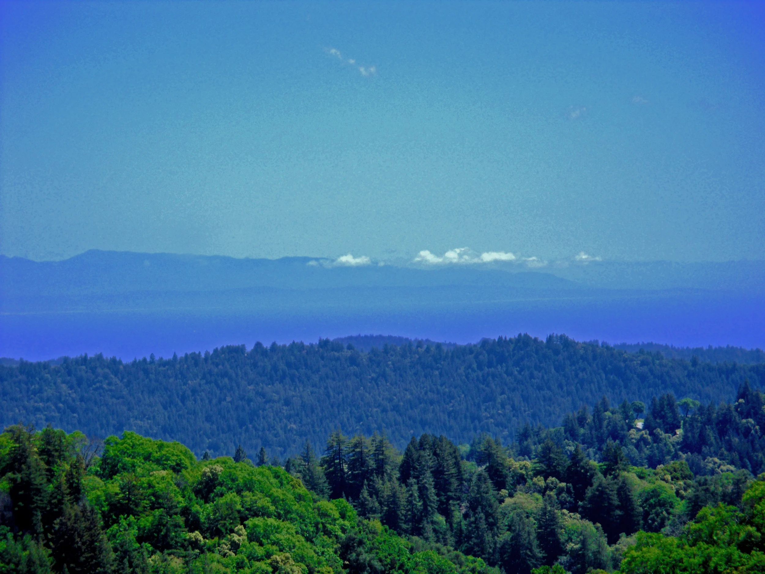 montereyBay2.jpg