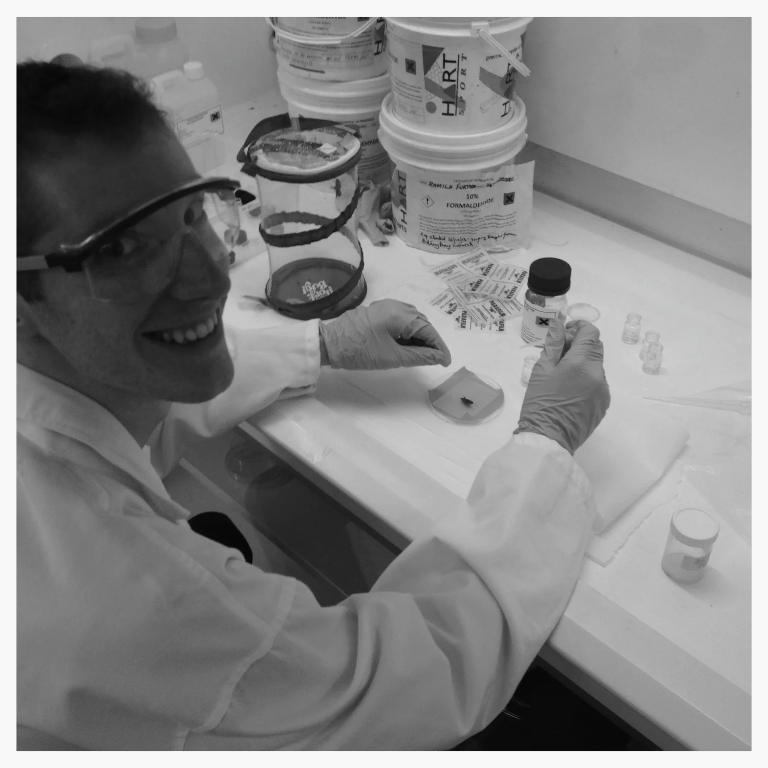 Scott preparing grasshoppers for transmission electron microscopy