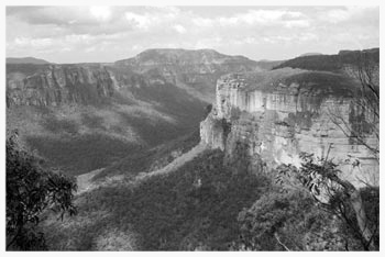 Classic view in the Blue Mountains. image: www.historyofaboriginalsydney.edu.au