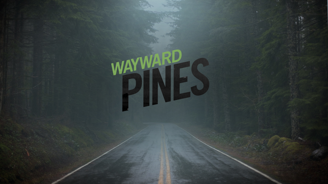 EE_wayPINES_BOARD4.jpg