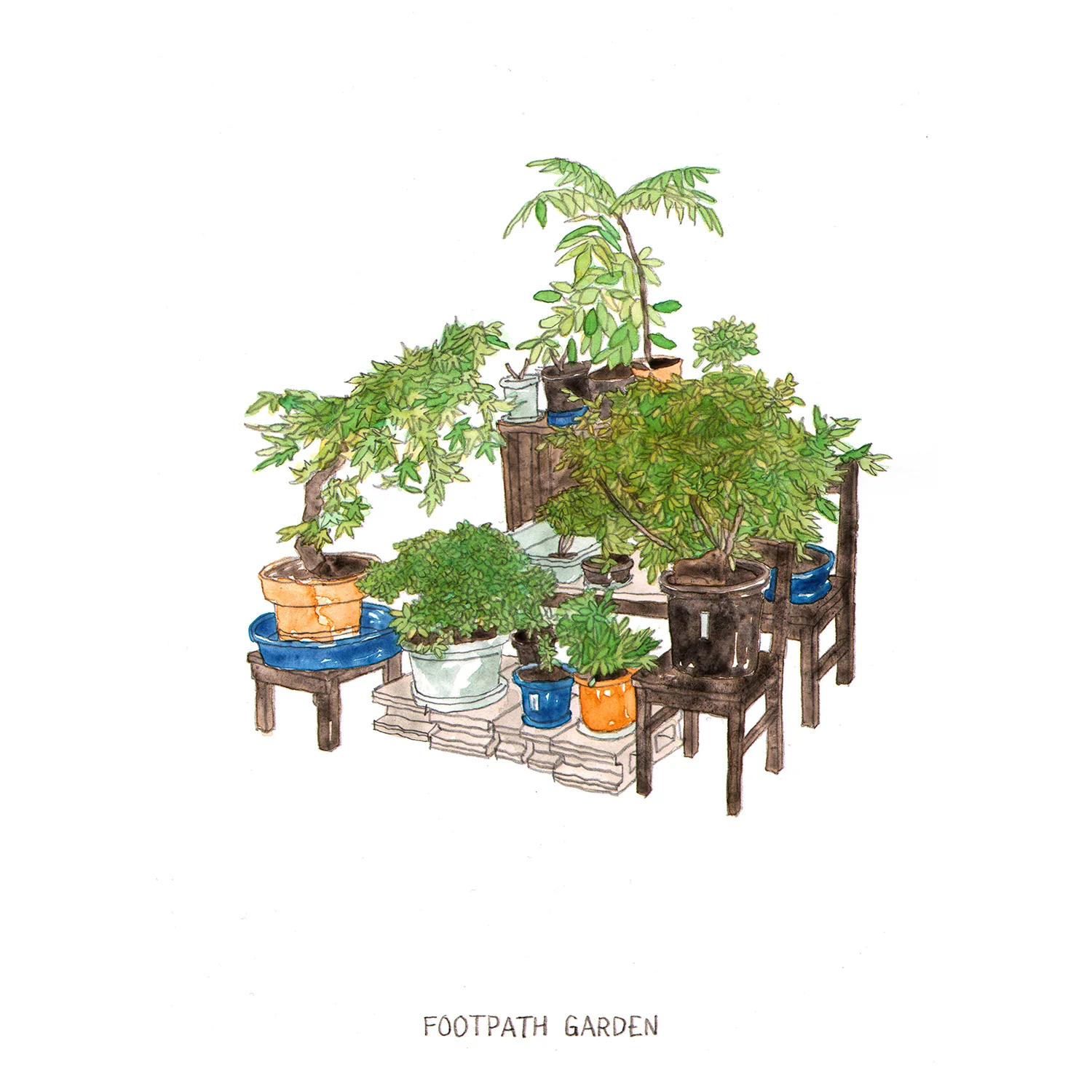 footpath garden watercolour drawing 4.jpg