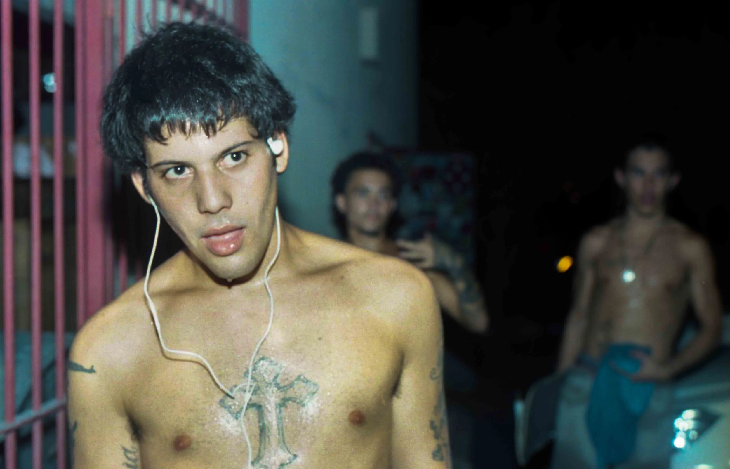 FILM-TF-French Fry 1.jpg