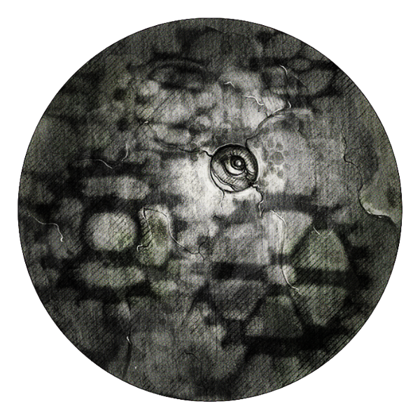 Her heart beating fast, she put her good eye to the crack but saw only dim shapes: tunnels like veins, lichen-wrapped arches, and the shadows of the cogs of gears.