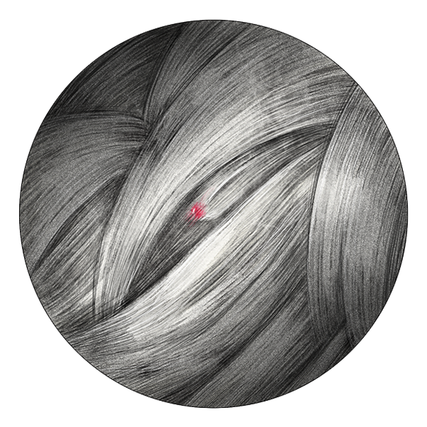 "You must return my child," said the mouse, and the witch's hands were webs and her fingers spiders, knuckles eggsacks, and between them twitched the red-nose from within coils and coils of grey silk.