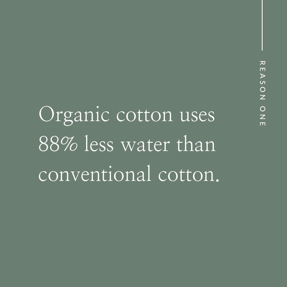 wvn_organic_cotton_text1.jpg