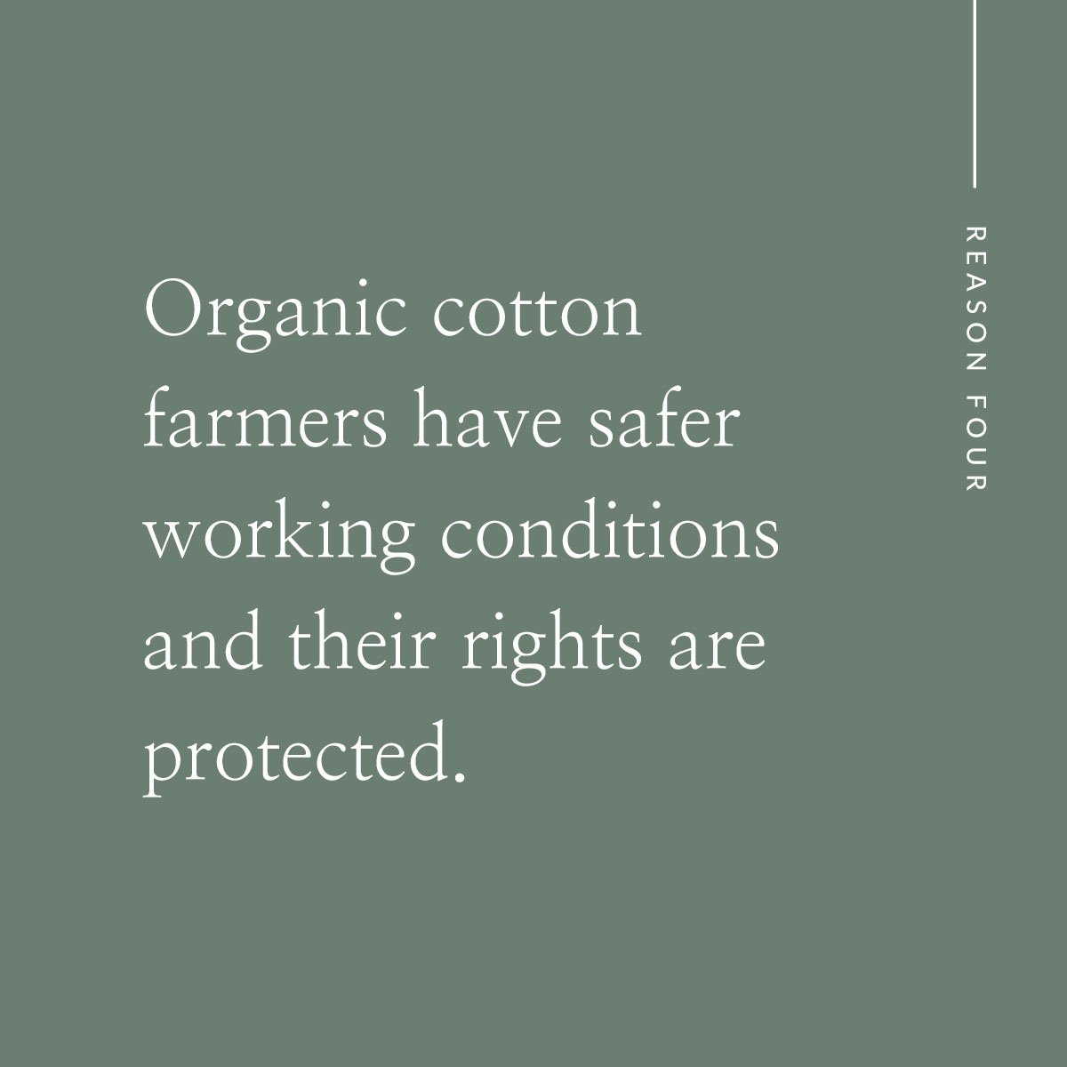 wvn_organic_cotton_text4.jpg