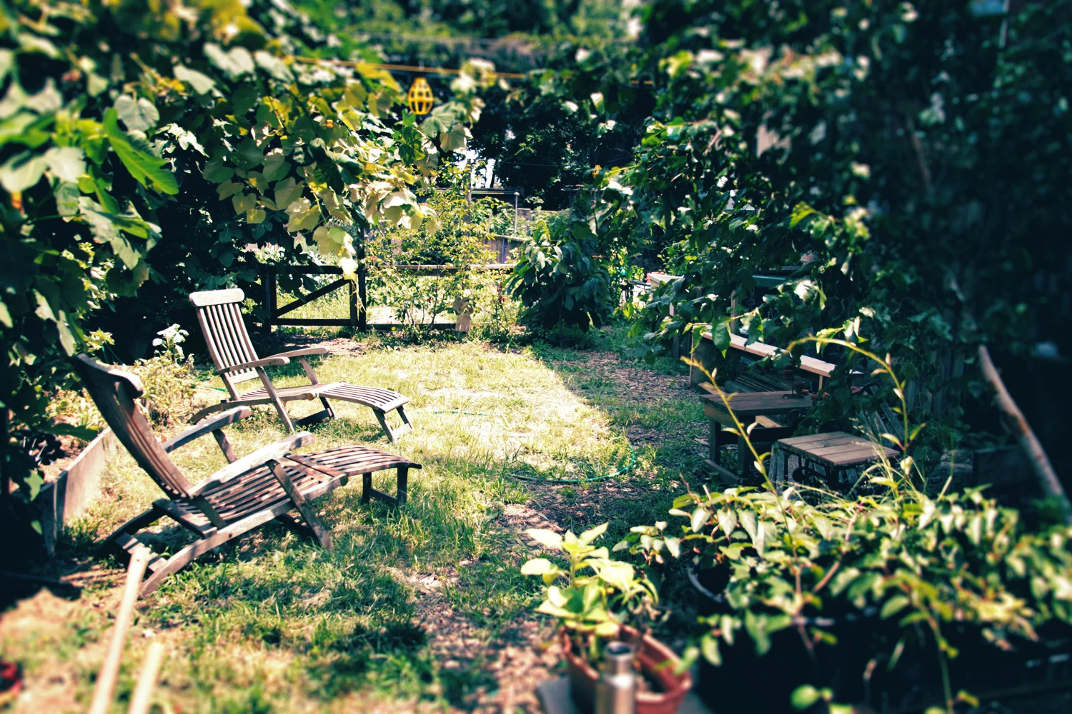 philadelphia community gardens