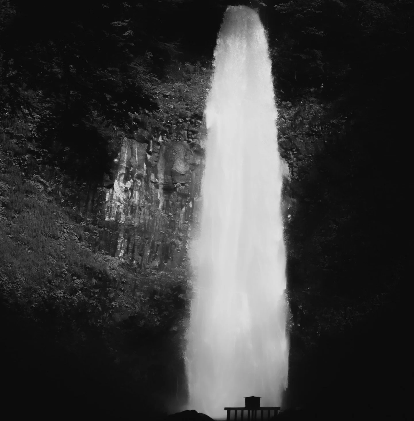 The forest of Yawata in Northern Japan 🌲

I spent days here sketching and creating artwork on location, guided by the sound of the falls and the quiet of the ancient cedar trees. This place left such an impression on me that one of the biggest scene