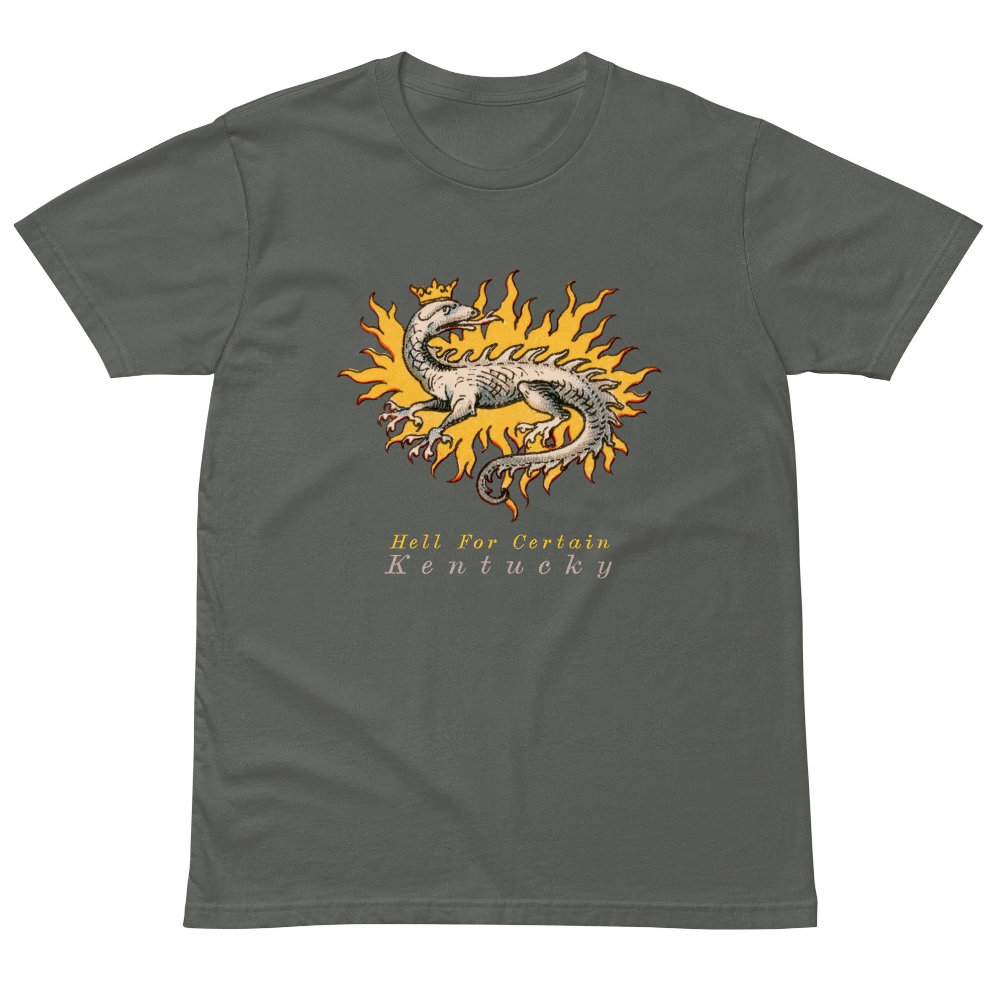 unisex-premium-t-shirt-charcoal-front-6a6c0e5dcd2da.jpg