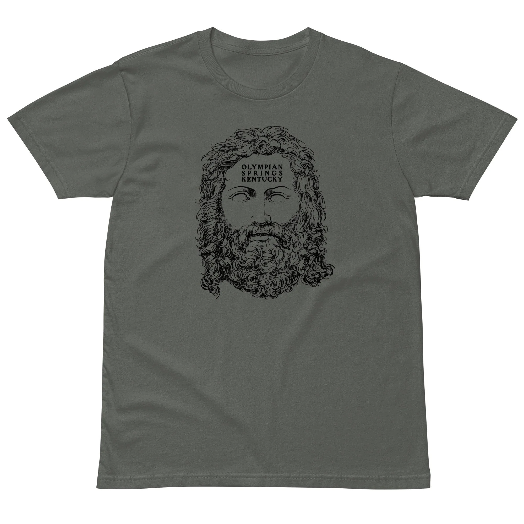 unisex-premium-t-shirt-charcoal-front-6a7180e636629.jpg