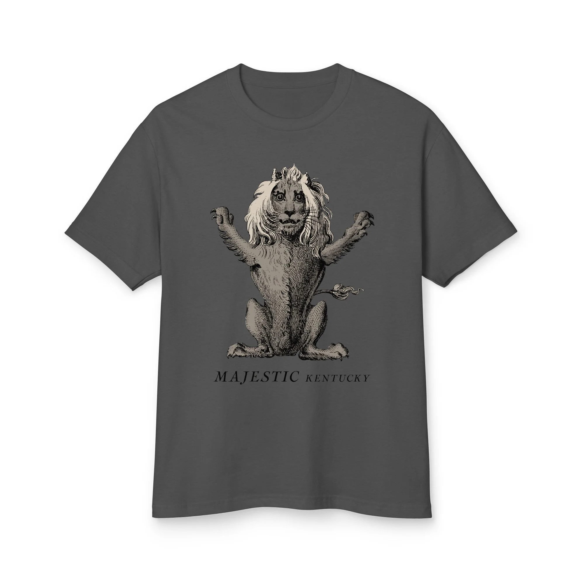 unisex-garment-dyed-heavyweight-cotton-tee-faded-black-front-6a7968447942f.jpg
