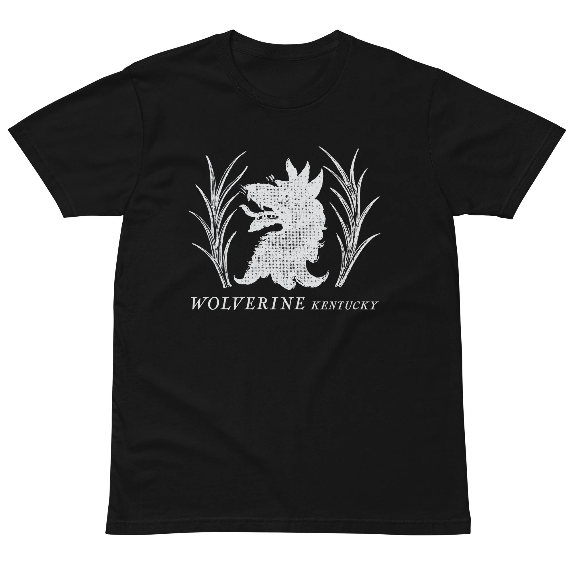 unisex-premium-t-shirt-black-front-6a8fd55395976.jpg