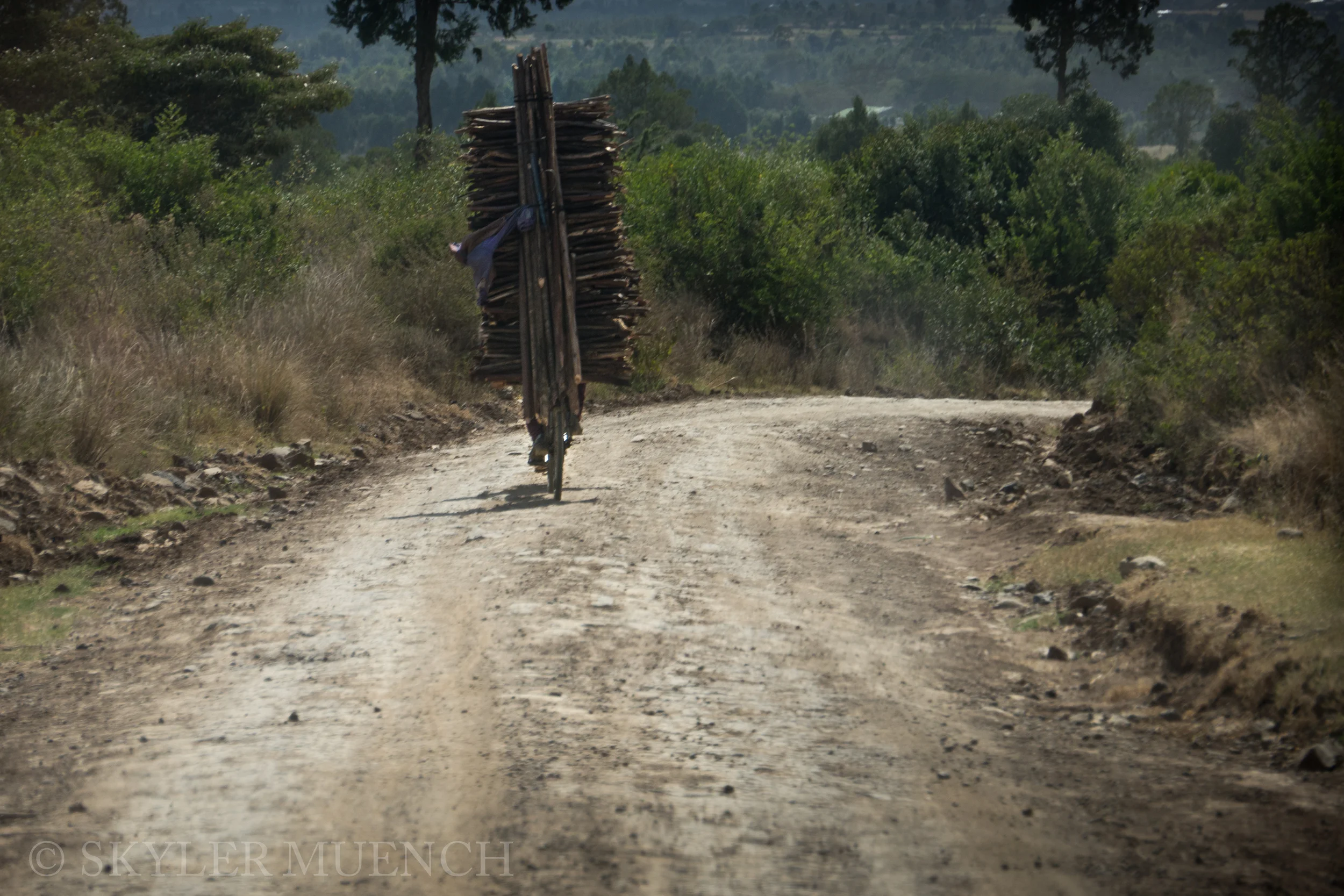 logs on bike.jpg