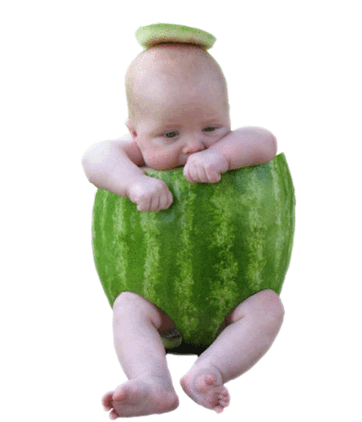 tumblr_m2v08qKzZs1qd499to1_400.gif