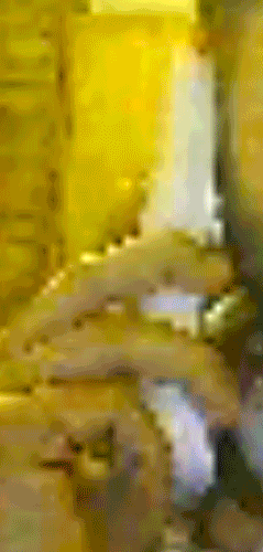 tumblr_m44tyeaiQo1qd499to1_400.gif