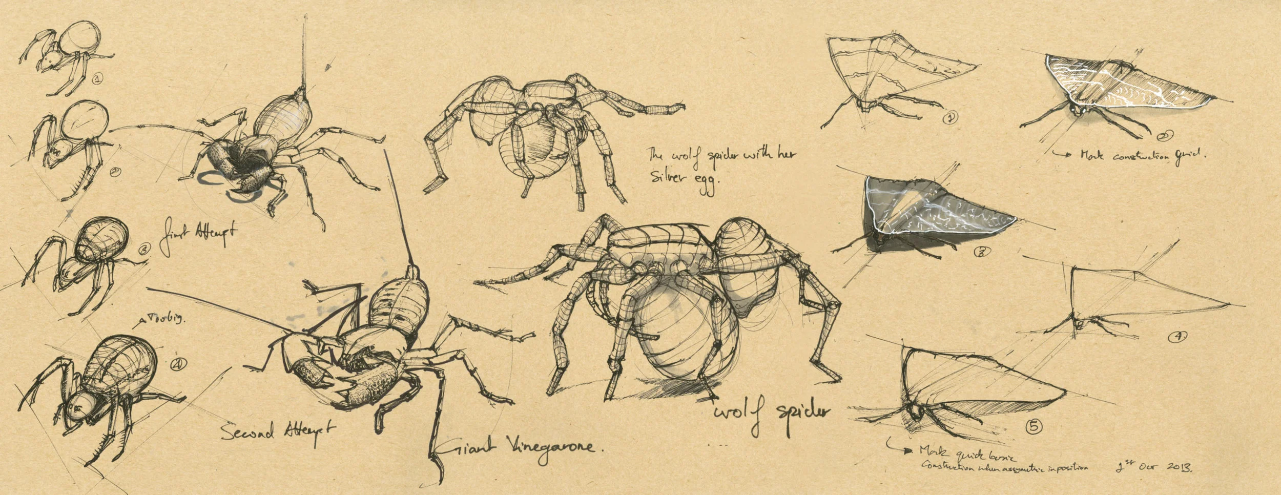 Spiders&more.jpg