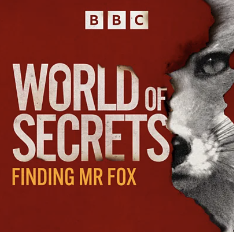 BBC Podcast "Finding Mr Fox"