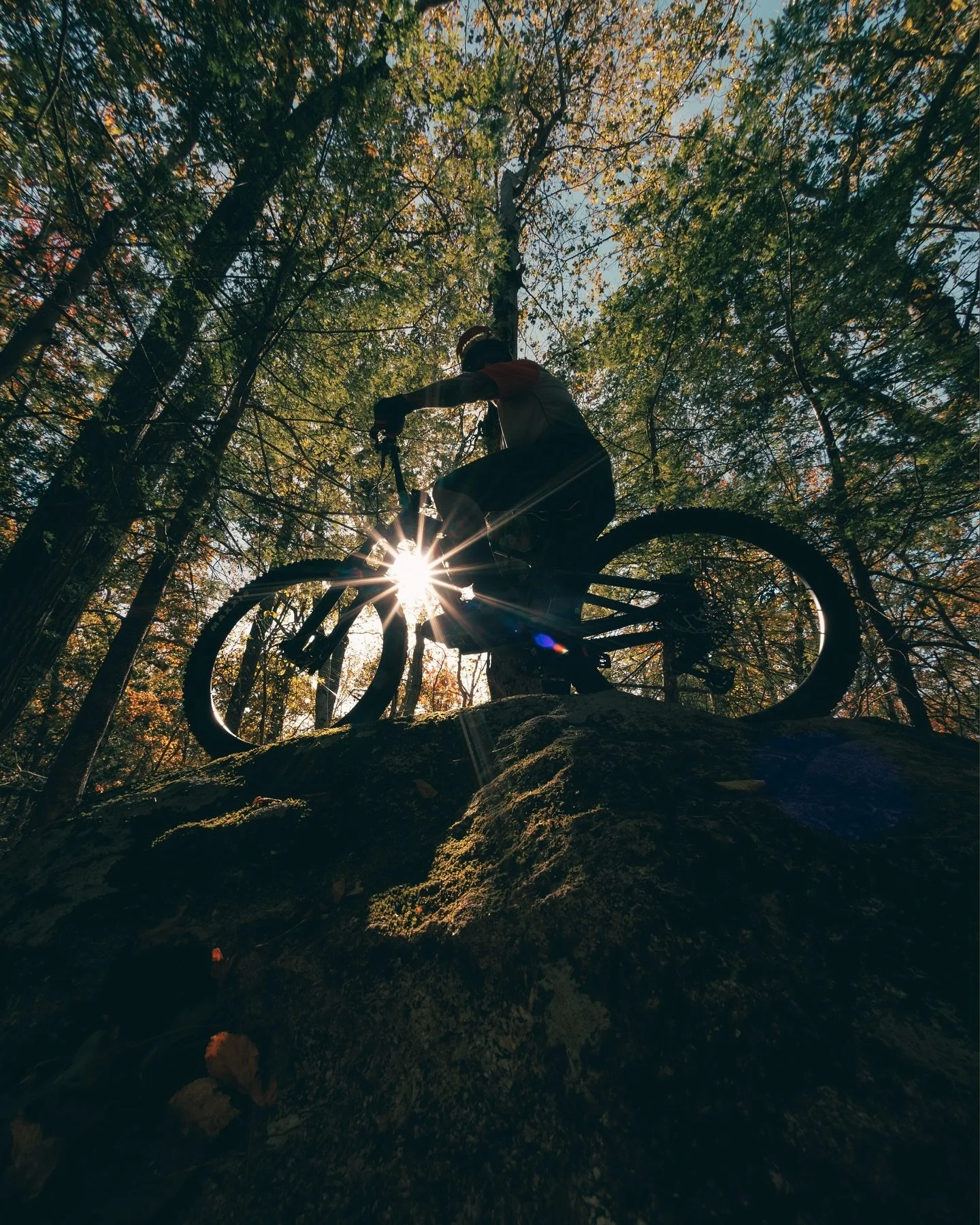 Fall mode | @brodywilsonfmx 

#mtb #trailbike #canon #slowshutter #northeast #newengland #autumn #fall #massachusetts #bikes #mountainbike #colorgrading #actionsports #getoutside