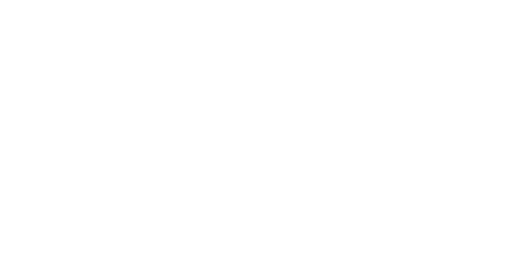 Mount Snow Vermont logo with mountain and snowflake icon.