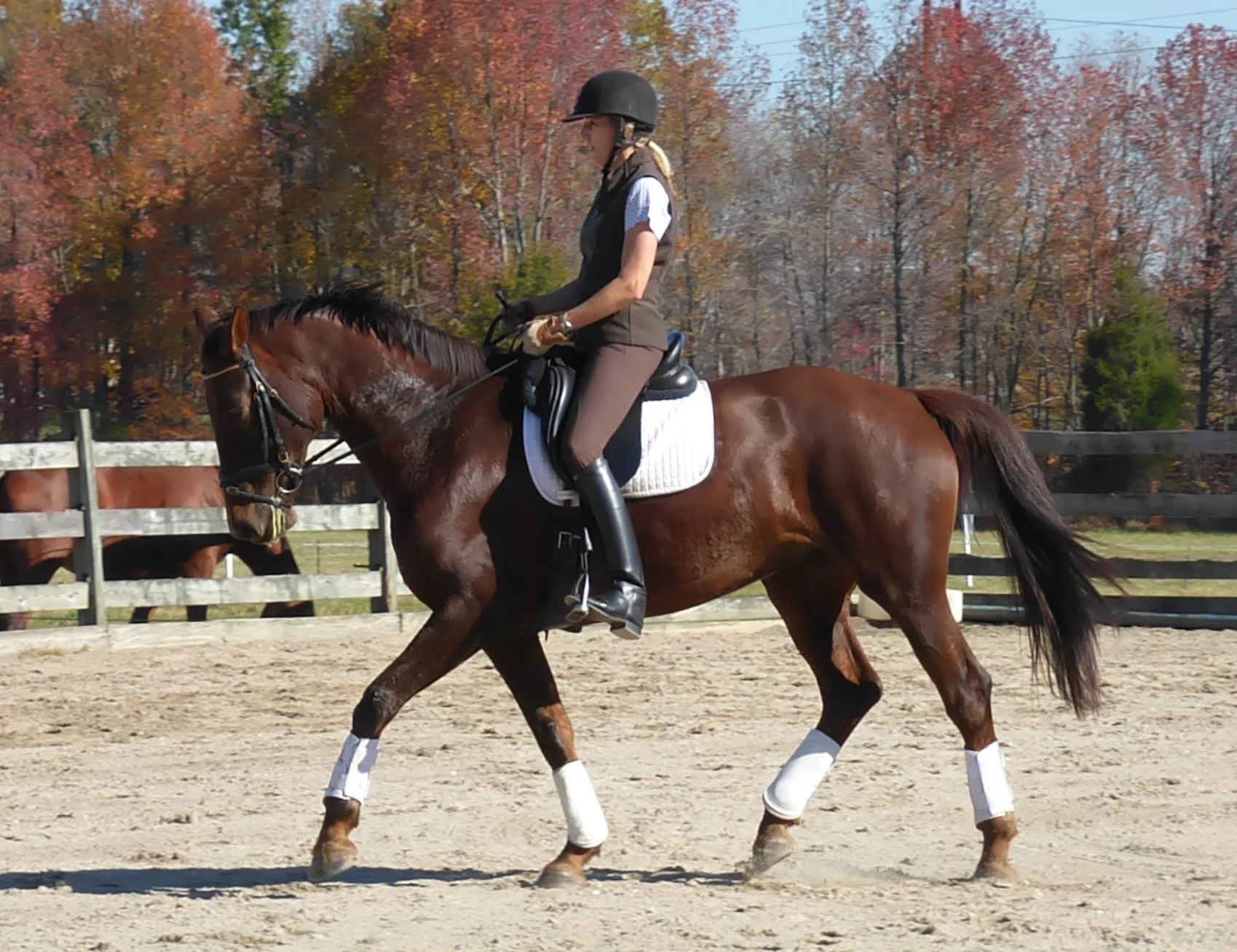 Martina riding her mare Cordialle during a lesson with Emily.
