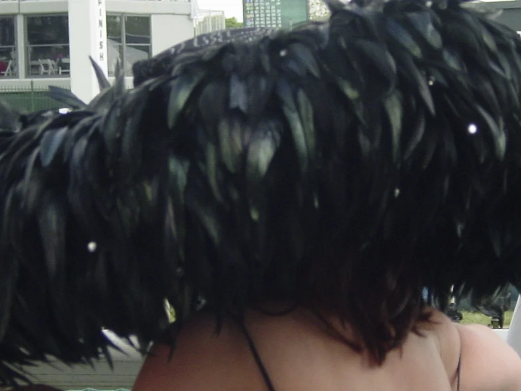 DSC03746.jpg