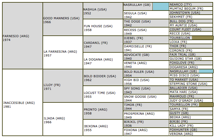 interprete-pedigree.jpg