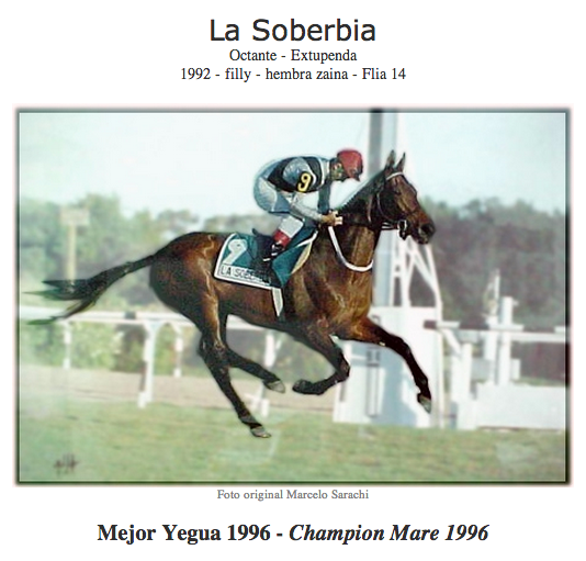 la-soberbia.jpg