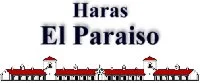 logo-haras.jpg
