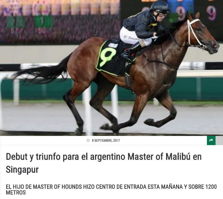 MASTER OF MALIBU, foto gentileza Turfdiario.com