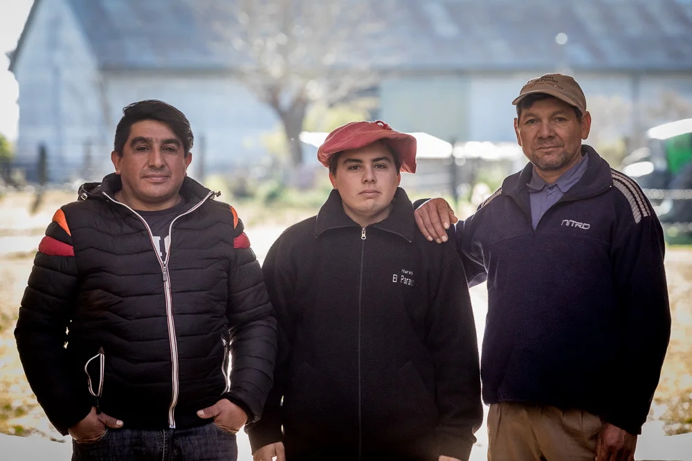 Equipo de Trabajo: Padrilleria y temporada de montas.