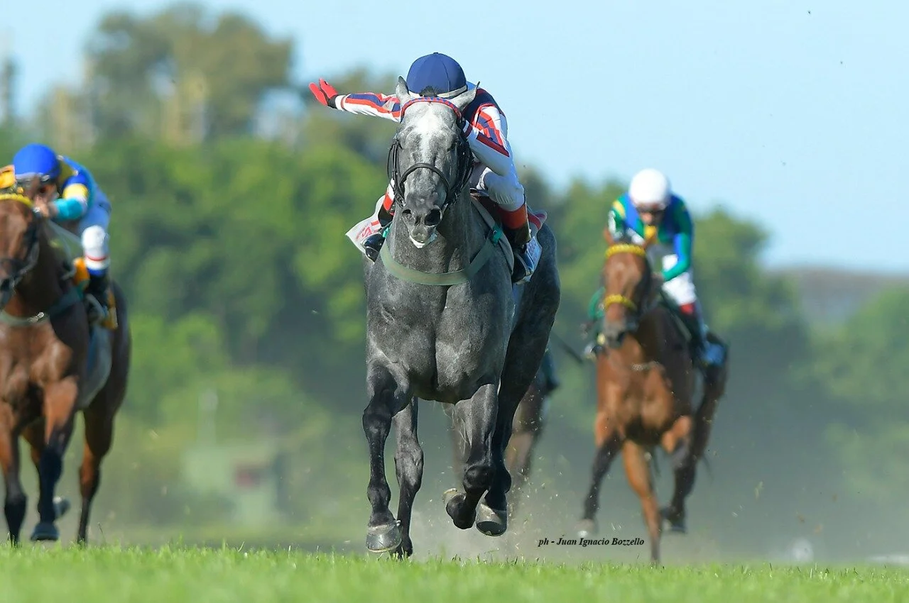 WhatsApp Image 2021-07-07 at 7.38.13 PM.jpeg